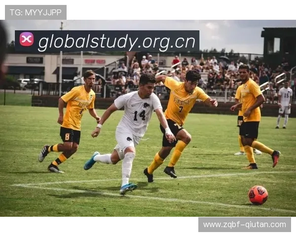 追逐激情,乐鱼体育在线直播为你呈现全新体验 追逐激情,乐鱼体育在线直播为你呈现全新体验